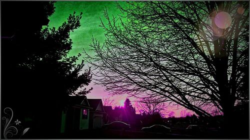 Street light and trees against sky