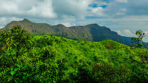 Panoramic view of green landscape against sky