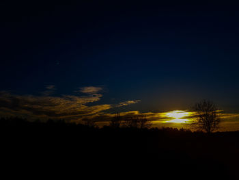 Silhouette trees against sky at night