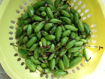 High angle view of vegetables in bowl