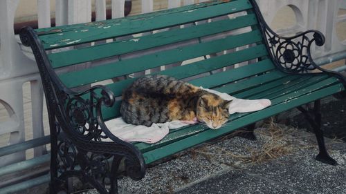 Empty bench in park