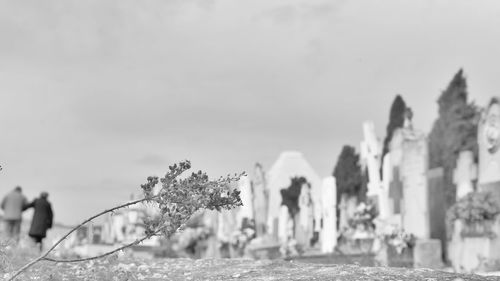 Close-up of water against sky