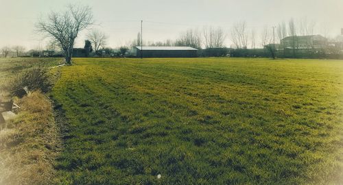 Scenic view of field against sky