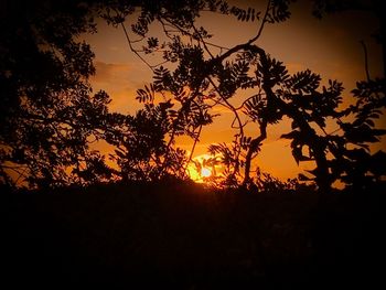 Low angle view of silhouette trees against sky at sunset