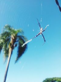 Low angle view of starfish against clear blue sky