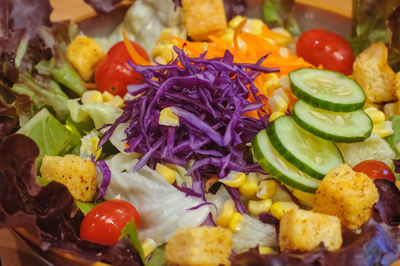 Close-up of salad served in plate