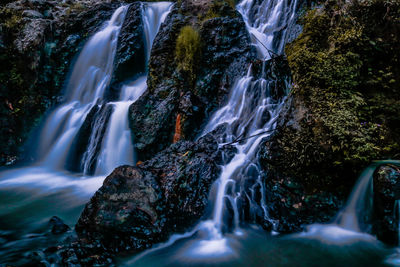 View of waterfall in forest