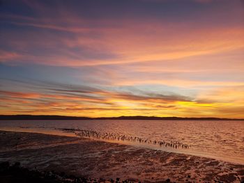 Scenic view of beach against sky during sunset