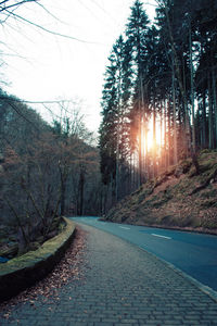Road amidst bare trees in forest against sky