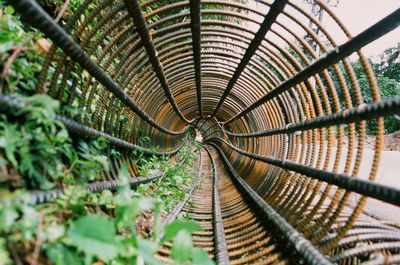 Metal bridge amidst trees