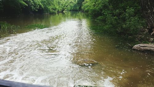 River flowing through rocks