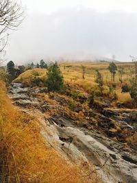 Scenic view of landscape against sky