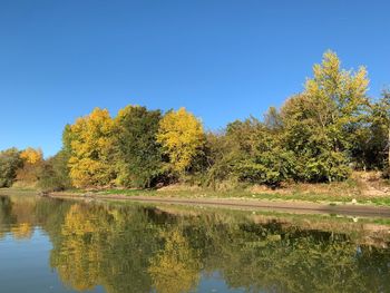 Reflection of trees in lake against clear blue sky