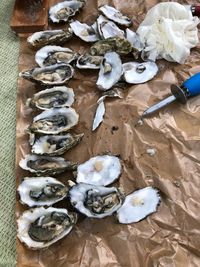 Fresh oysters on the half she'll
