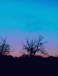 Silhouette bare tree against blue sky at sunset