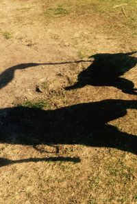 High angle view of shadow on grass