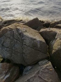 High angle view of stones on beach