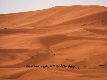 View of sand dunes in desert