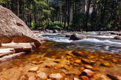 Stream flowing through rocks in forest