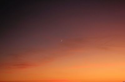 Low angle view of moon at sunset