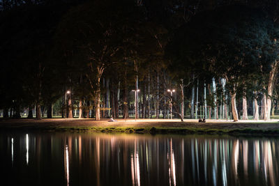 Reflection of trees in lake at night