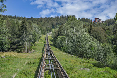 Railroad tracks in forest against sky