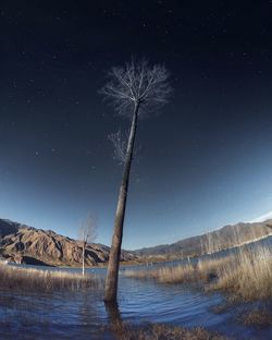 Scenic view of lake against sky at night