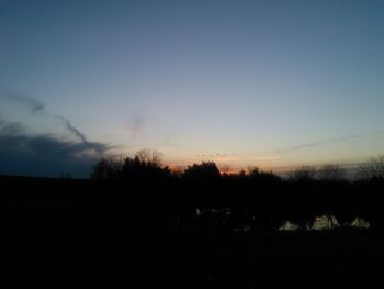 Silhouette of trees at sunset