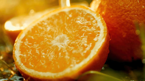 Close-up of orange slices