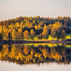 Scenic view of lake with trees in background