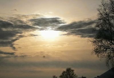 Low angle view of silhouette trees against sky during sunset