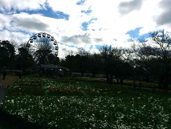 Ferris wheel in park against cloudy sky