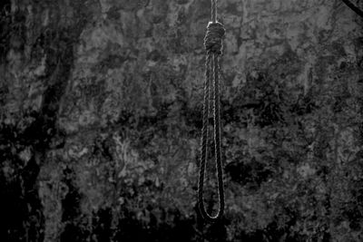 Close-up of noose hanging against rock