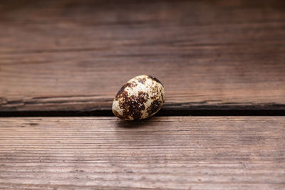 High angle view of egg
 on wooden table
