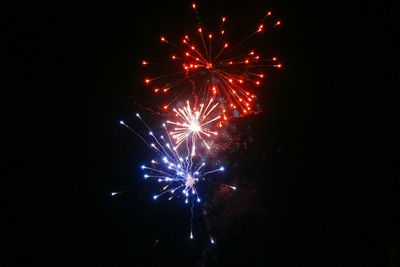 Fireworks exploding in night sky