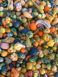 Full frame shot of pumpkins for sale at market stall