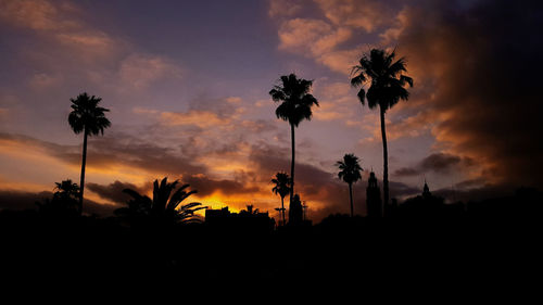 Low angle view of silhouette palm trees against sky
