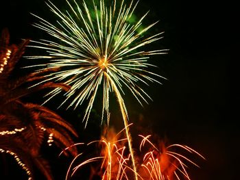 Low angle view of firework display at night