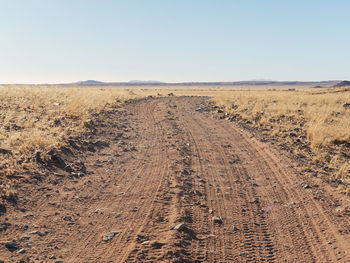 Tire tracks on dirt road