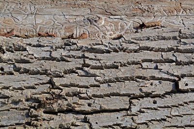 Full frame shot of stone wall