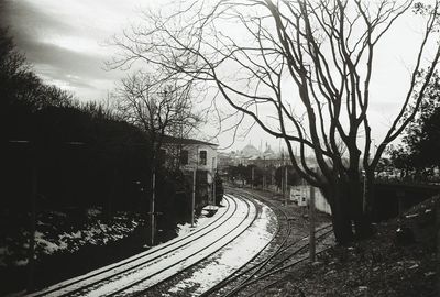 Railroad tracks in forest