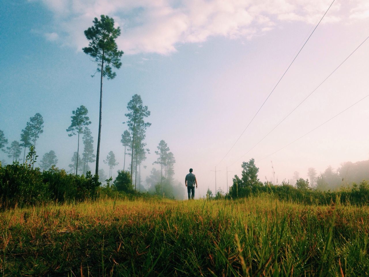 Jenning State Forest