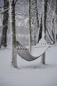 Scenic view of snow covered trees