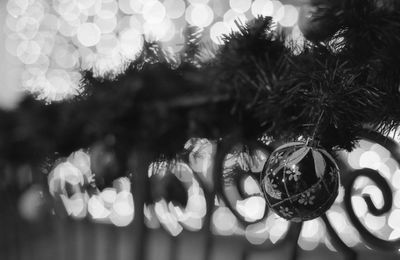 Close-up of christmas decoration hanging on tree