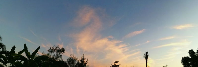 Low angle view of silhouette trees against sky during sunset