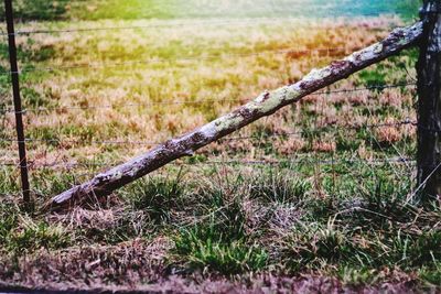 Hay bales on field