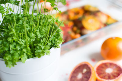 Close-up of potted plant on table