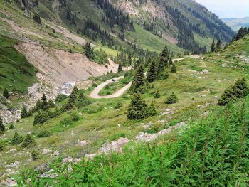 Scenic view of green landscape