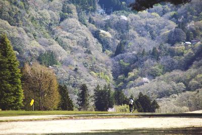 Scenic view of landscape