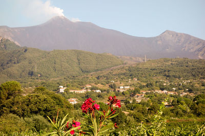 Scenic shot of mountain range